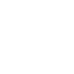 MSV