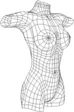 3d render of a female body